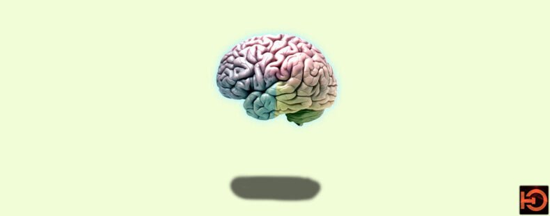 Imagem de: Designing for Cognitive: Tecnologia de acessibilidade digital para deficientes