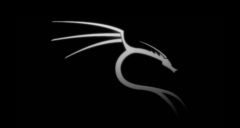 Imagem de: Kali Linux 2020.3: Download e informações sobre o lançamento