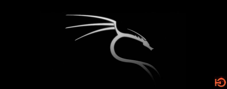 Imagem de: Kali Linux 2020.3: Download e informações