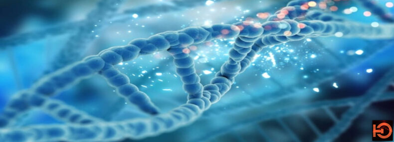 Imagem de: Cientistas conseguem reverter o processo de envelhecimento em células humanas