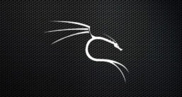 Imagem de: Kali Linux 2020.4 é lançado com shell padrão ZSH