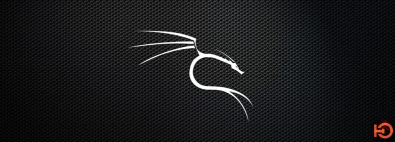 Imagem de: Kali Linux 2020.4 é lançado com shell padrão ZSH