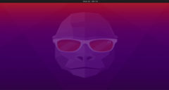 Imagem de: Ubuntu 20.10 Groovy Gorilla está disponível para download