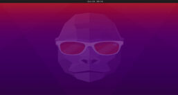 Imagem de: Ubuntu 20.10 Groovy Gorilla está disponível para download