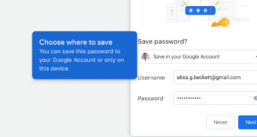 imagem de: Google lança recurso que facilita pagamentos e gerenciamento de senhas no Chrome