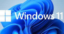 Windows 11