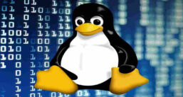 Linux