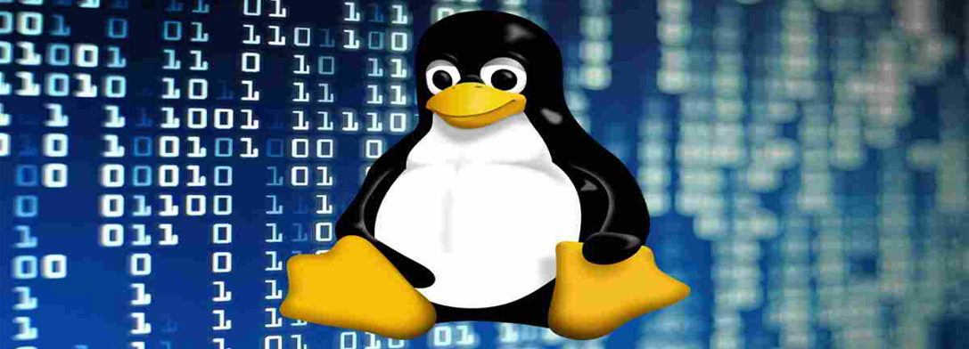 Imagem de: Nova vulnerabilidade no kernel do Linux permite acesso à raiz do sistema de arquivos