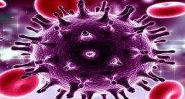 Imagem de: Vírus HIV - Tudo sobre o vírus causador da AIDS