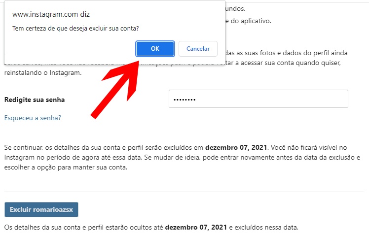 Caixa de alerta de exclusão do Instagram