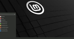 Linux Mint 20.3