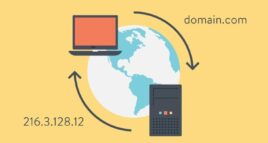Domain Name System (DNS)