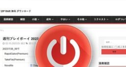 13DL