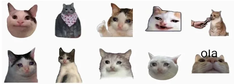 Adesivos Memes Gatos WASticker