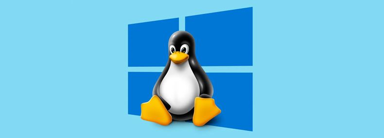 Imagem de: Microsoft lança sua versão do Linux oficialmente