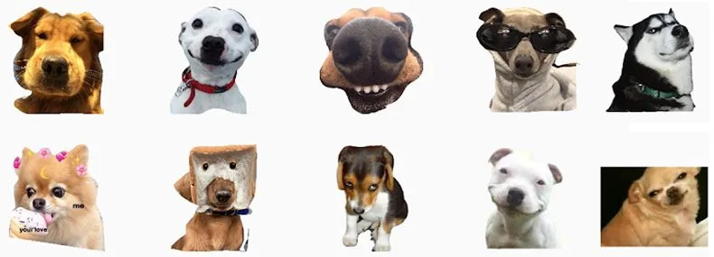 Memes de cães WAStickerApps
