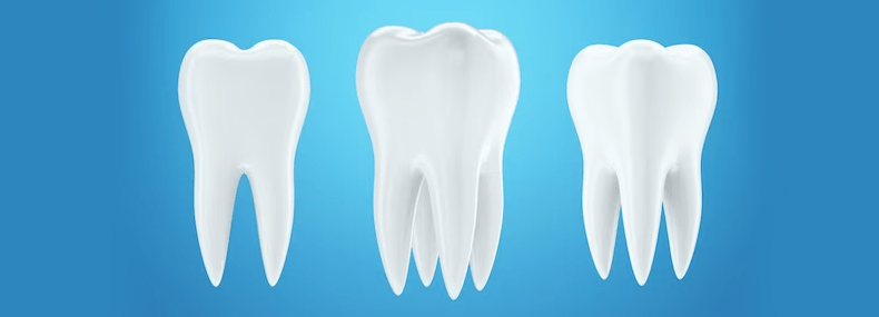 Imagem de: Cientistas criam remédio para estimular o crescimento de novos dentes