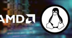 AMD e Linux