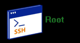 Root SSH