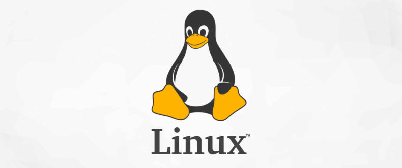 Imagem de: Linux atinge 4,44% de participação de mercado: maior marca em anos