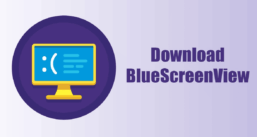 BlueScreenView Download