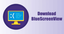 BlueScreenView Download
