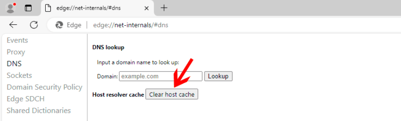 Microsoft Edge - DNS lookup