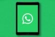 Imagem de: WhatsApp chega ao iPad com suporte oficial e multitarefa; Download
