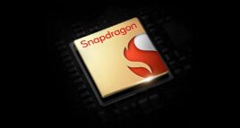 Snapdragon
