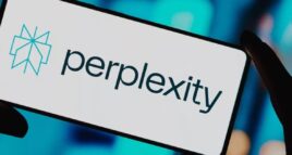 Perplexity