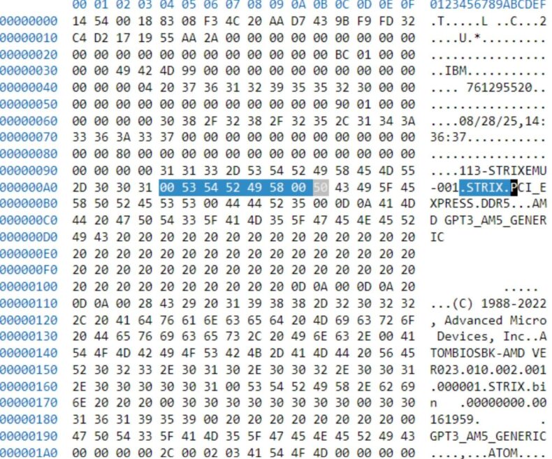 Dados do STRIX Point AM5