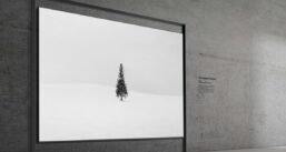 TV Samsung Micro RGB