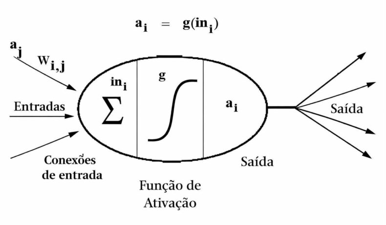 Propagação reversa