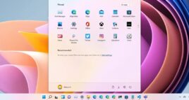 Windows 11