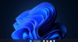 Windows 11