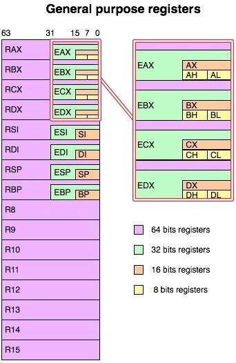 A arquitetura x86-64 tradicionalmente fornece 16 registradores de uso geral, ilustrados acima juntamente com suas porções sobrepostas de 32 bits, 16 bits e 8 bits. O APX dobra o número de registradores disponíveis para 32 , possibilitando que os processadores mantenham mais dados em seus registradores internos extremamente rápidos, reduzindo operações de memória dispendiosas e potencialmente melhorando o desempenho em softwares otimizados para aproveitar a extensão. Fonte da imagem: blog de Clement Bera.